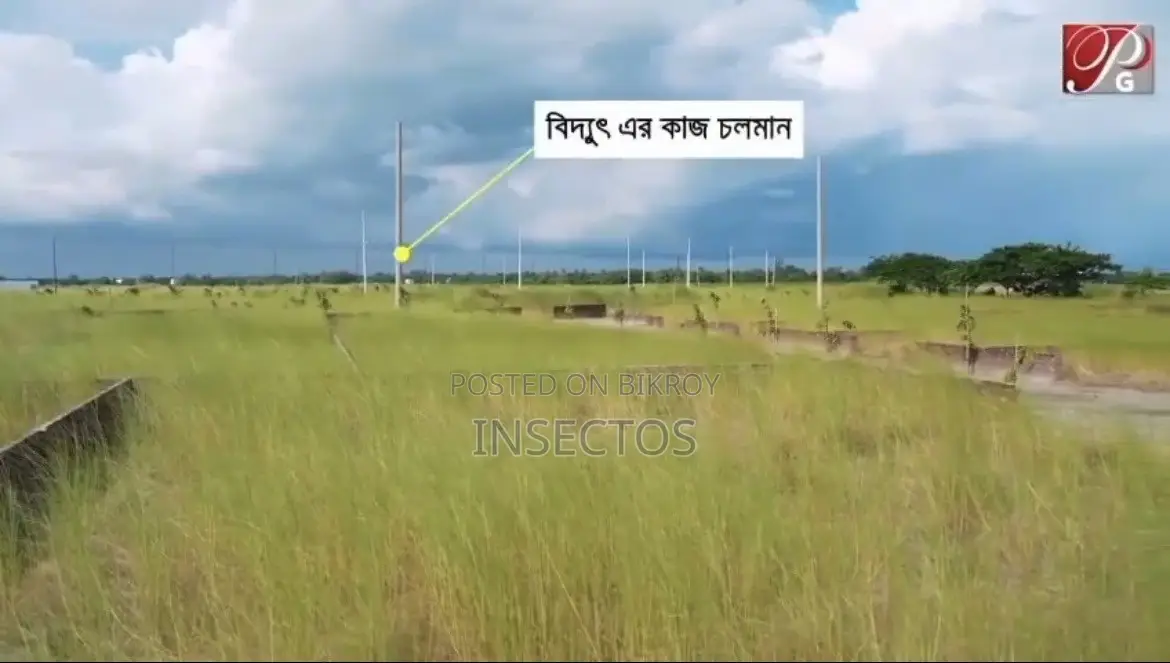 Purbachal Ready Plot and Every Typ Plot
