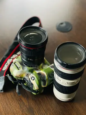 Canon EOS 6D Mark II + Canon L-Series 2 Lens Full Setup for Sale