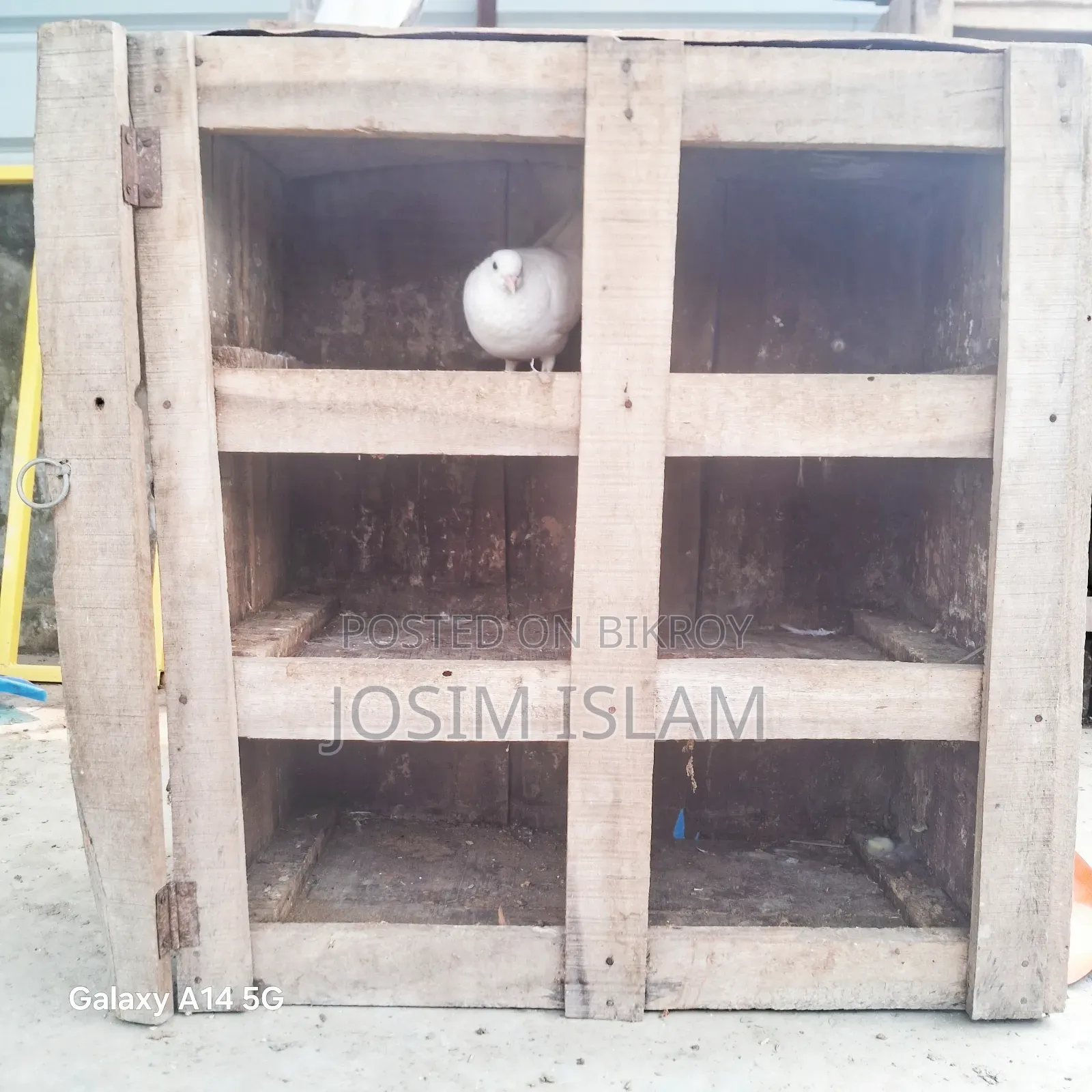 ছয় খোপা কবুতরের খোপ