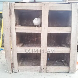 ছয় খোপা কবুতরের খোপ