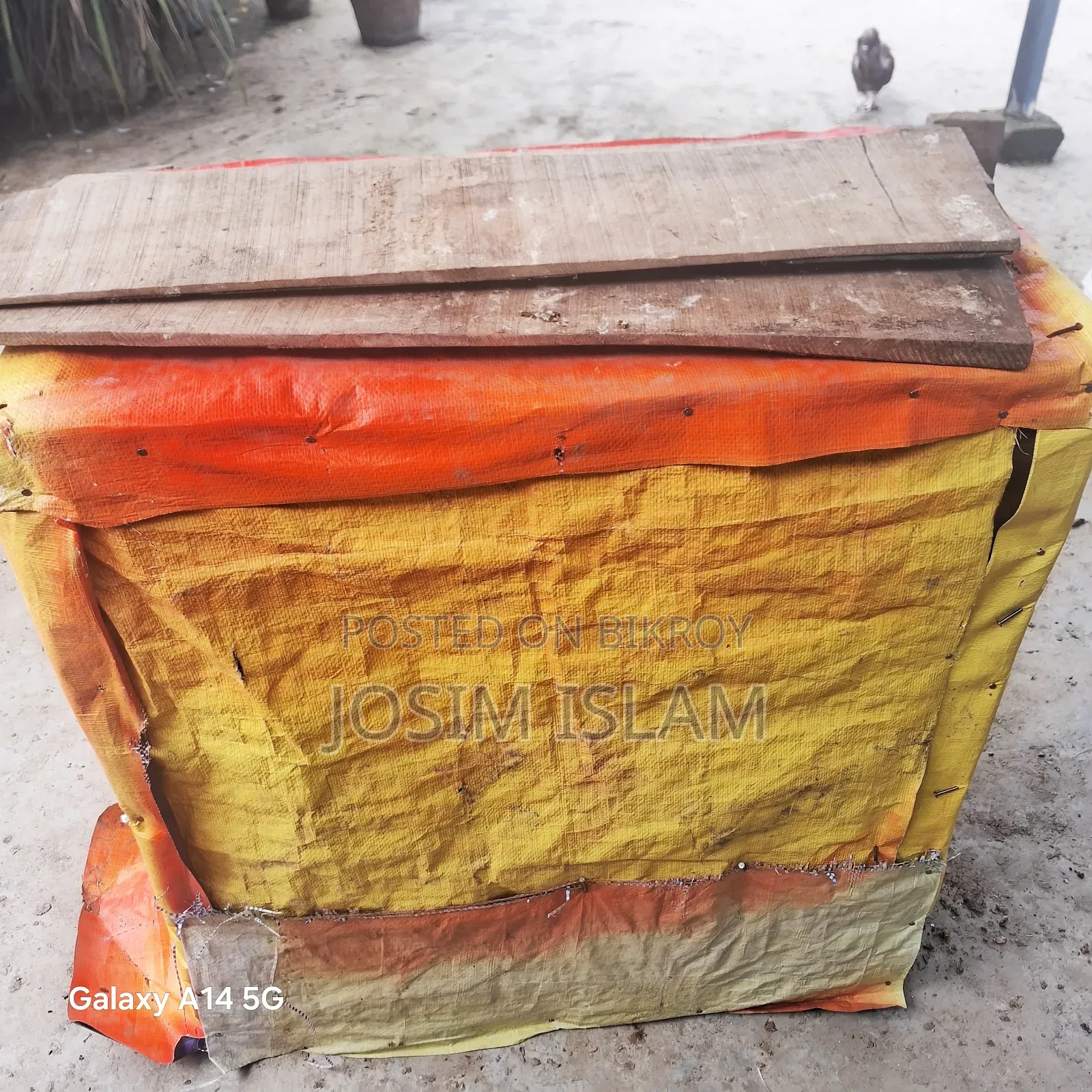 ছয় খোপা কবুতরের খোপ