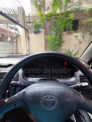 Toyota Carina 1993 Gray
