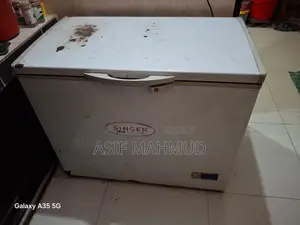 Singer 2 Fridge