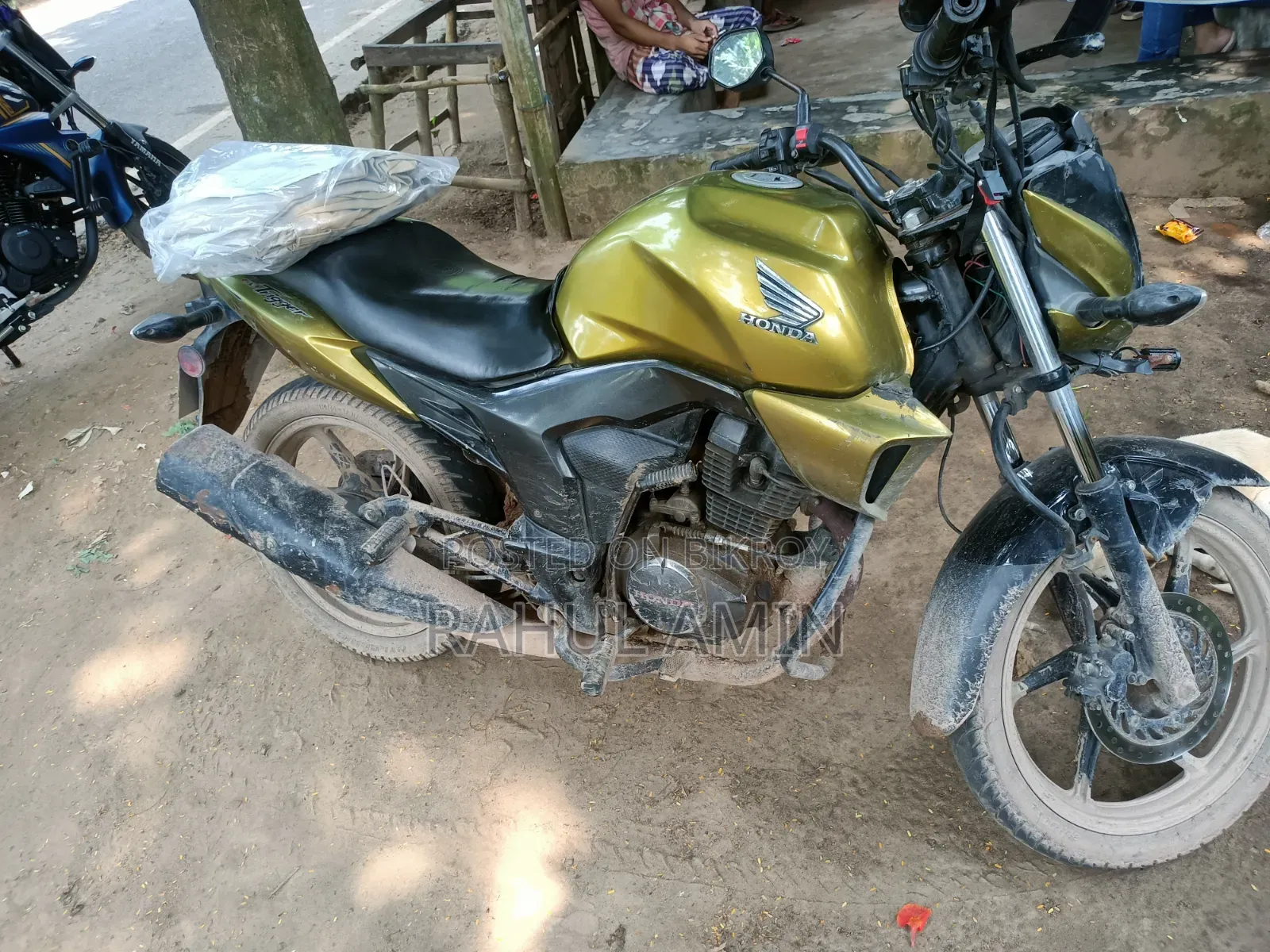 Honda 2014