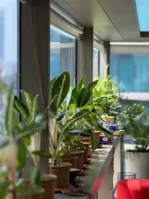 Luxurious Fully Furnished Commercial Space Rent in Gulshan