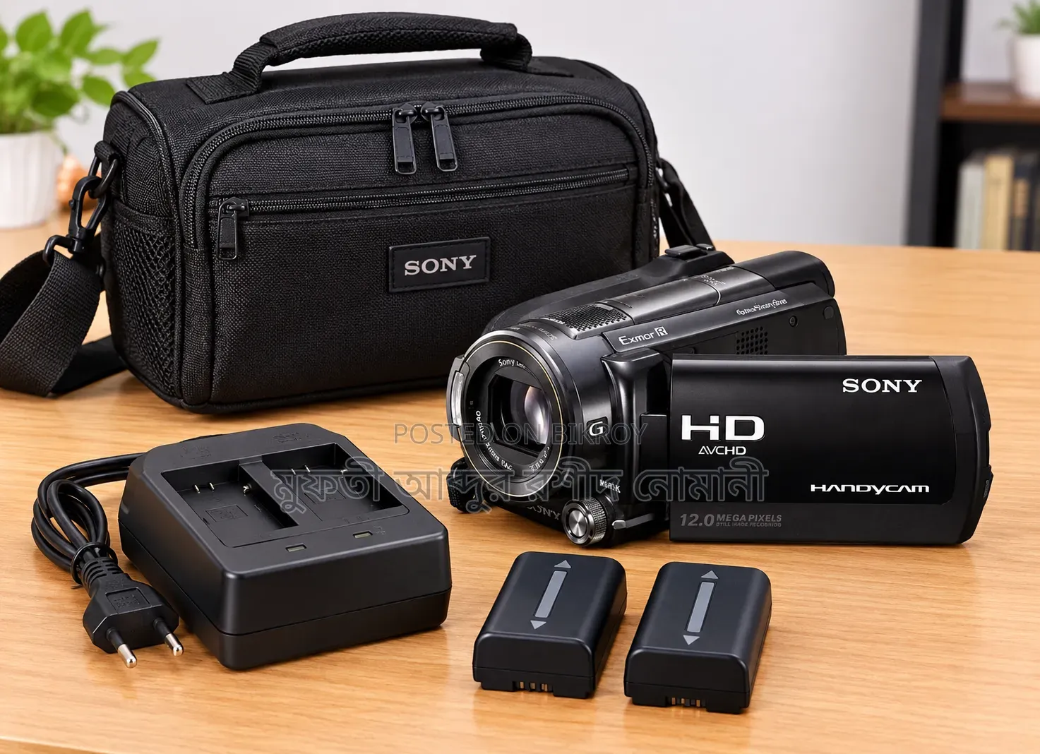 Video Camera Sony Xr500