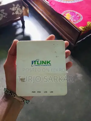 It Link Onu