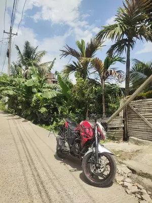 Yamaha FZS V2 2017 Red