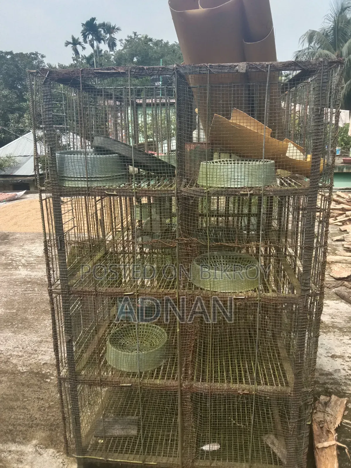 ২৪ জোড়া কবুতরের একটি লোহার খাঁচা বিক্রি করা হবে।