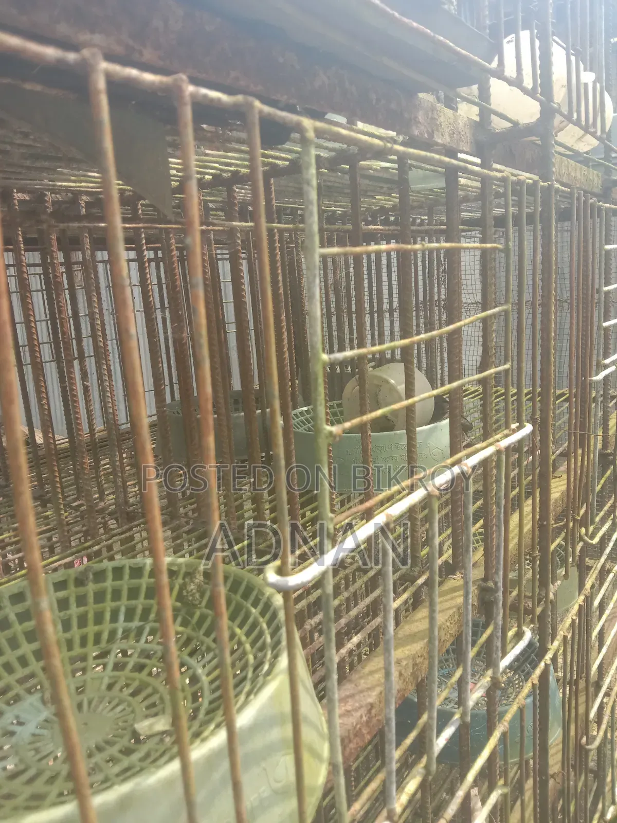 ২৪ জোড়া কবুতরের একটি লোহার খাঁচা বিক্রি করা হবে।