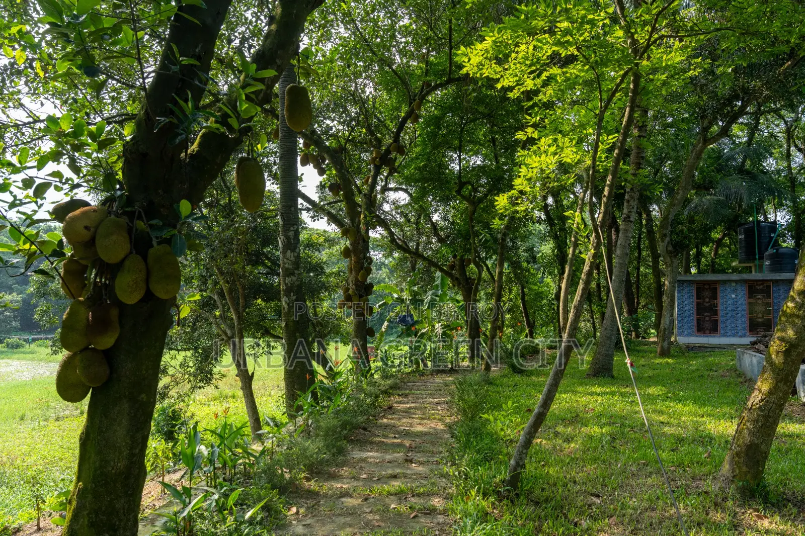 আরবানা গ্রীন সিটিতে সহজ কিস্তিতে প্লট কিনুন