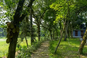 আরবানা গ্রীন সিটিতে সহজ কিস্তিতে প্লট কিনুন