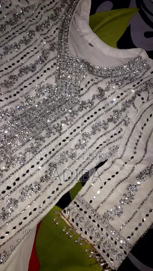 Pakistani Style Embellished Dress