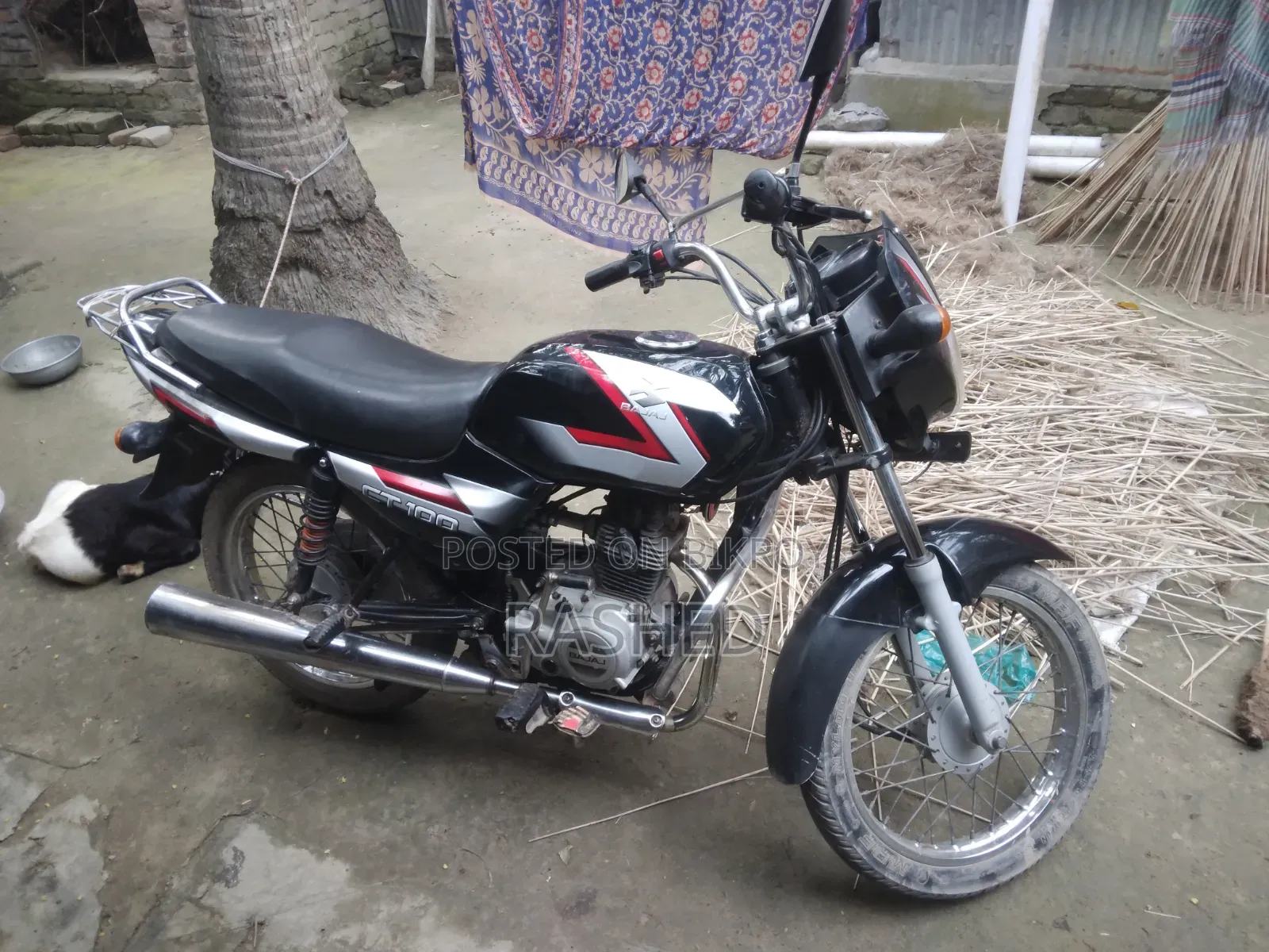 Bajaj CT 100 2009 Black