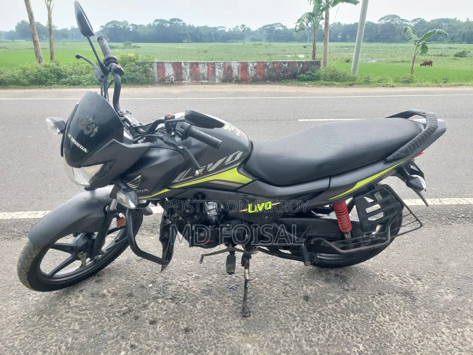 Honda Livo 2019 Gray