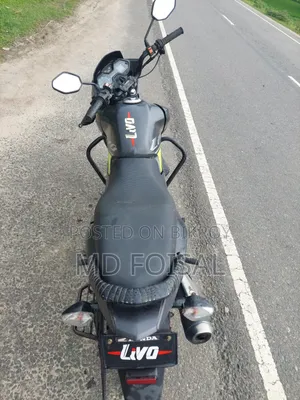 Honda Livo 2019 Gray