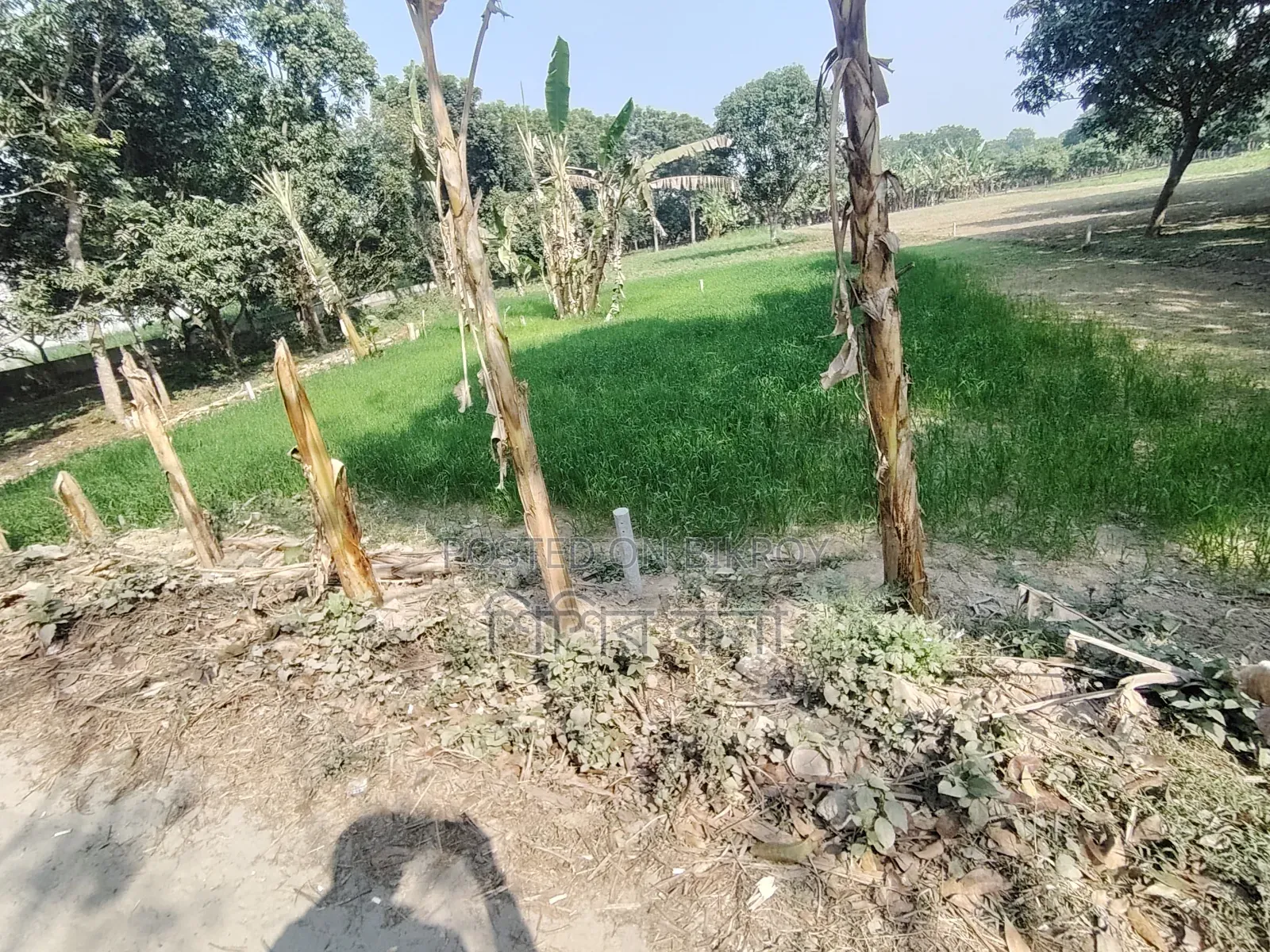 ফাকা জমি আবাসিক
