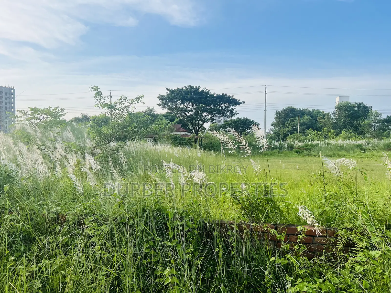 4 Katha Plot for Sell in N Block