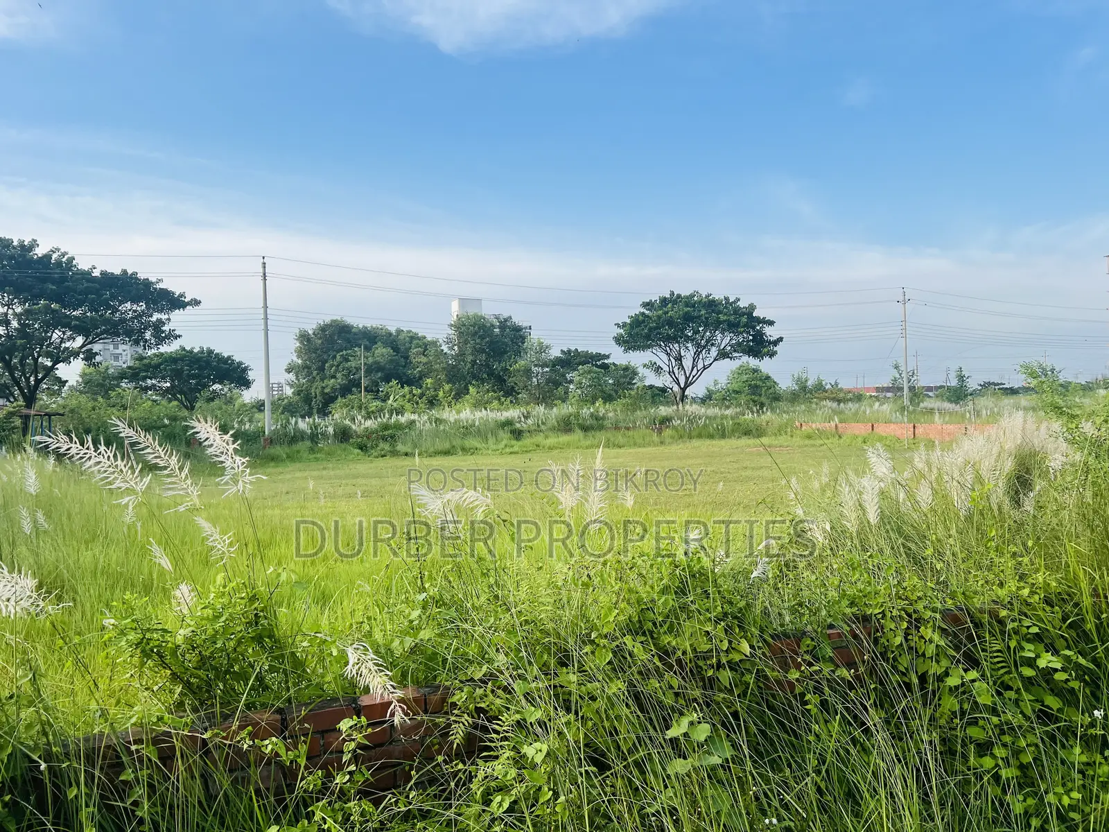 4 Katha Plot for Sell in N Block