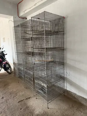 বার্ডস কেস পাখির খাচা
