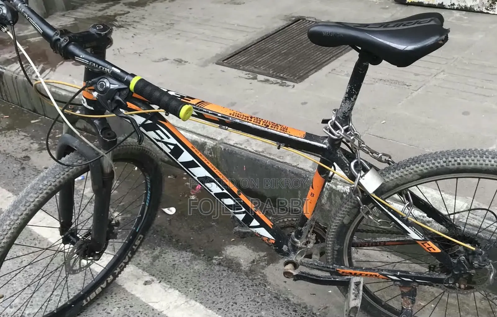 Falcon Cycle