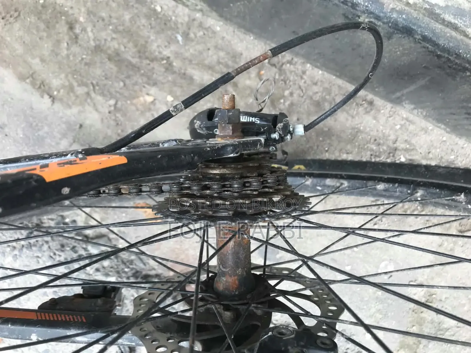 Falcon Cycle