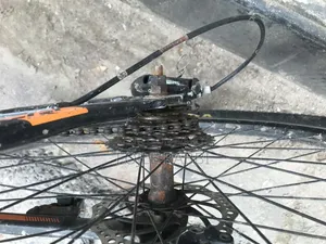 Falcon Cycle