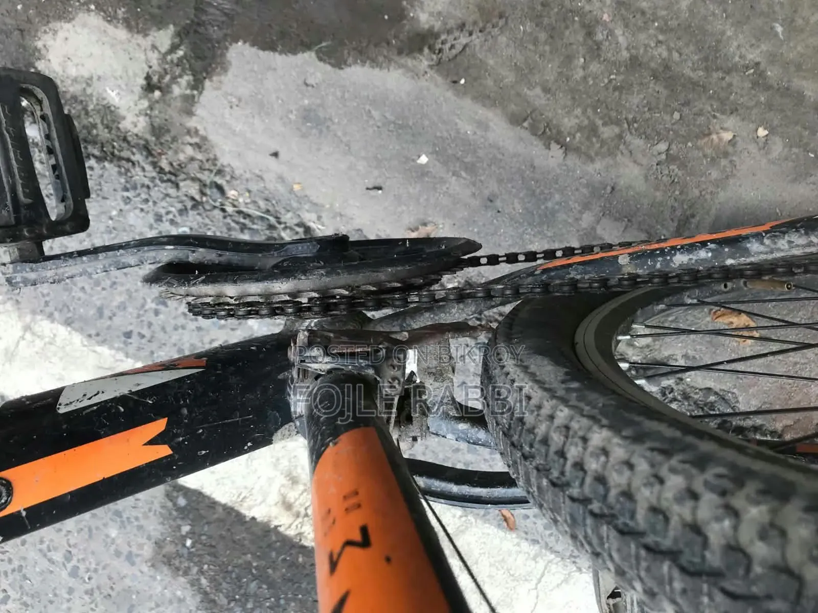 Falcon Cycle