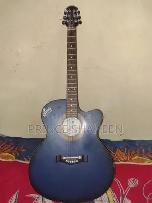 গিটার মডেল 265