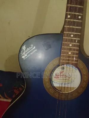 গিটার মডেল 265