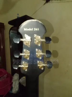 গিটার মডেল 265