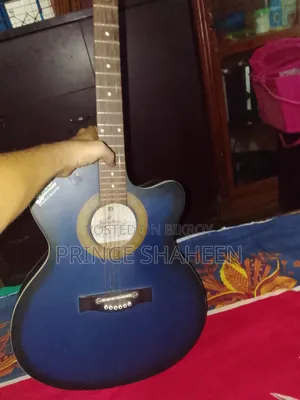 গিটার মডেল 265
