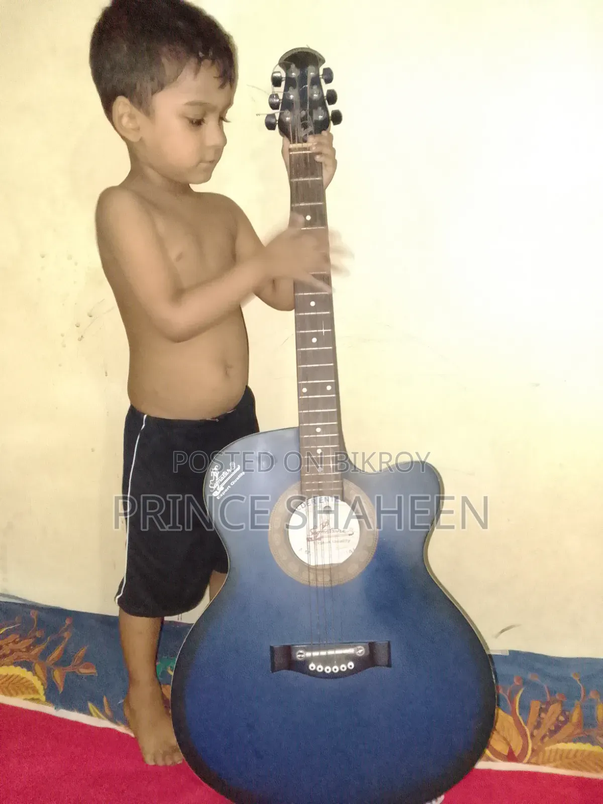 গিটার মডেল 265