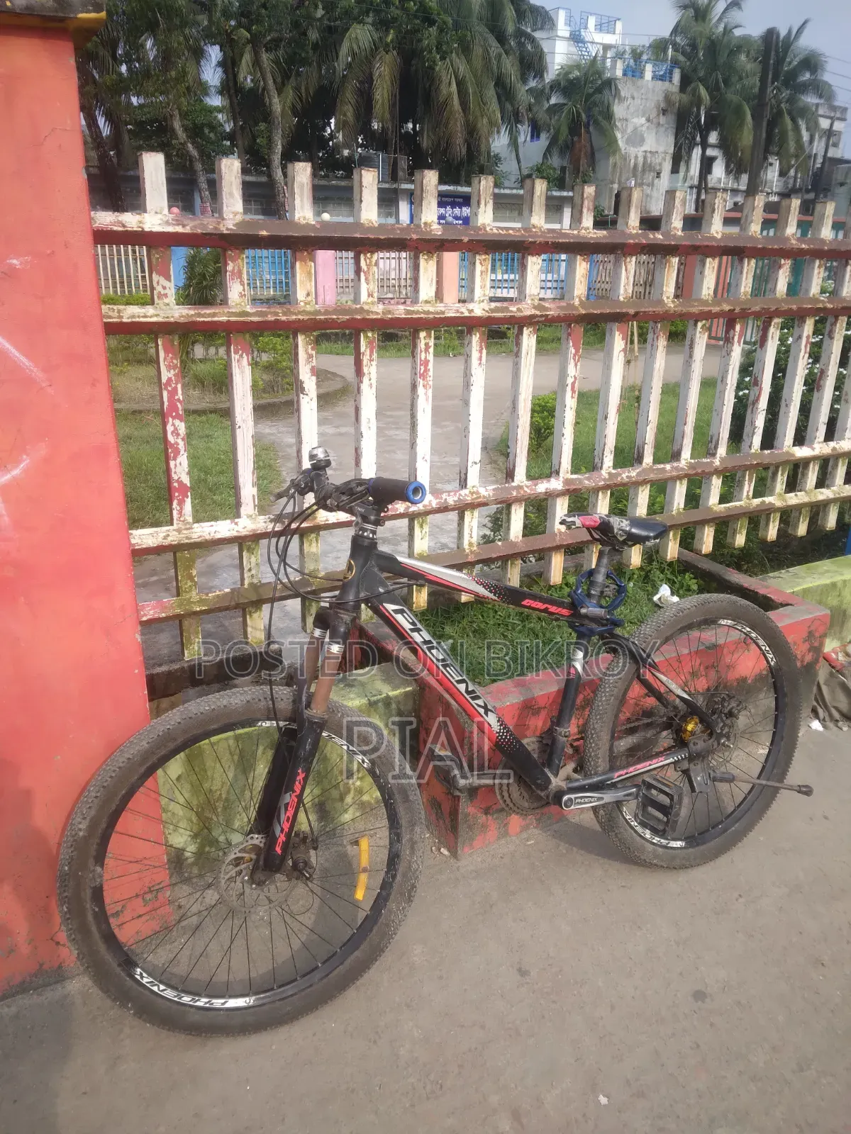 Phoenix Mountain Bike
