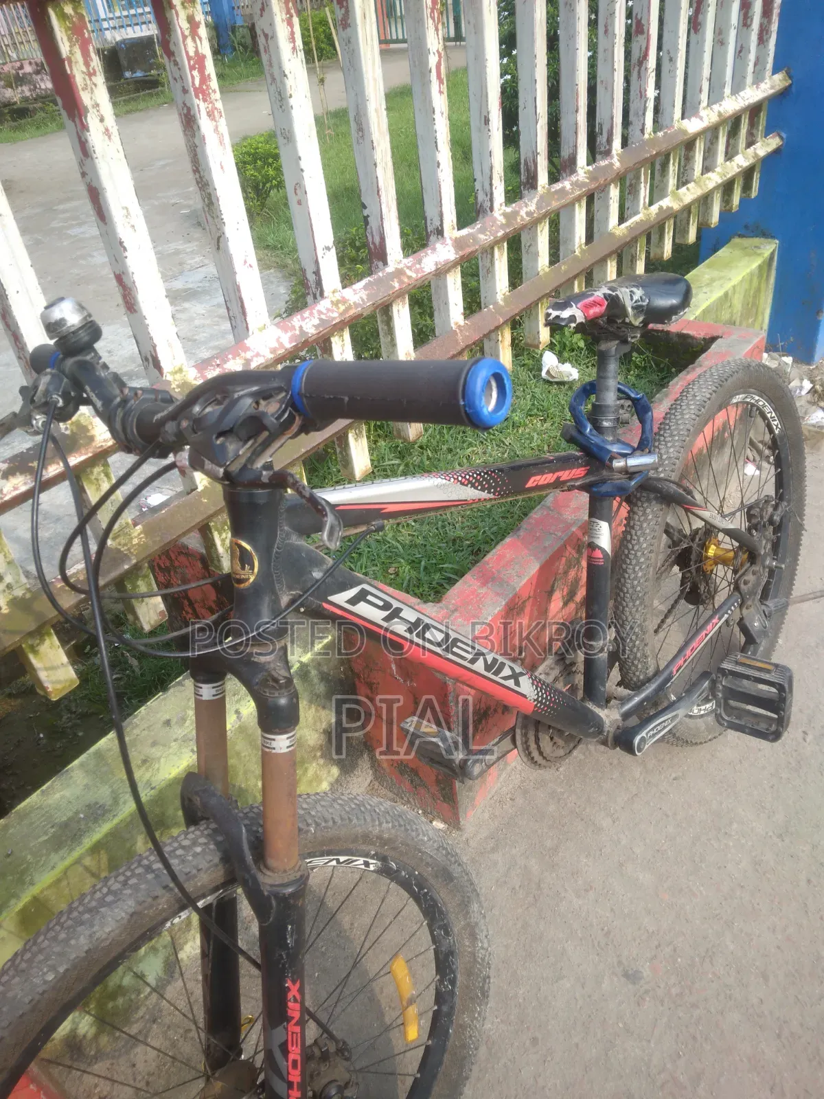 Phoenix Mountain Bike