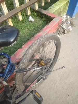 Phoenix Mountain Bike