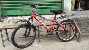 20 Inch Small Bicycle