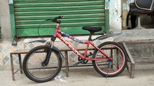 20 Inch Small Bicycle