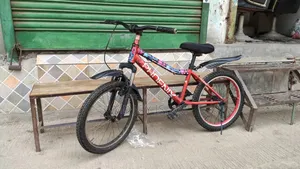20 Inch Small Bicycle
