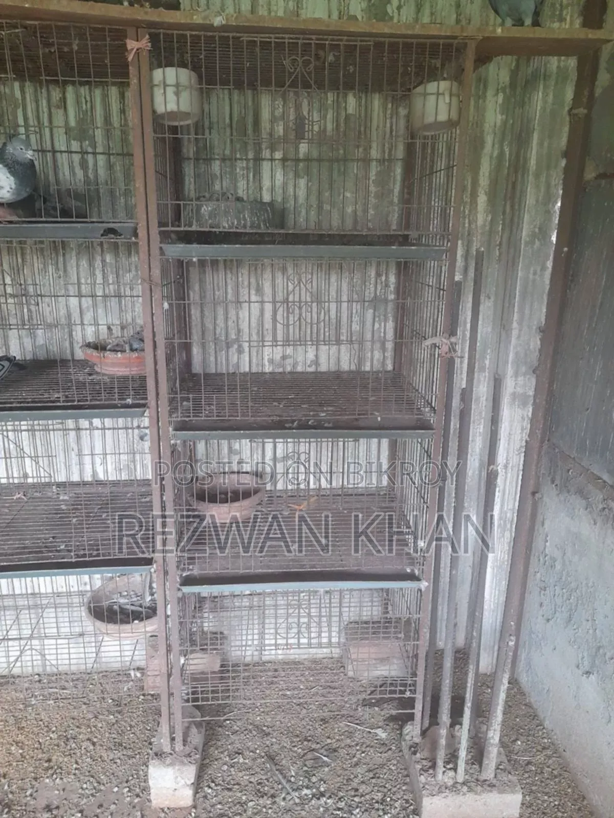 Pigeons Cage