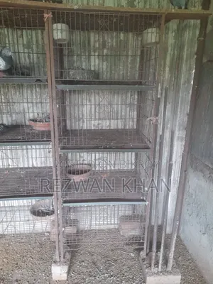 Pigeons Cage