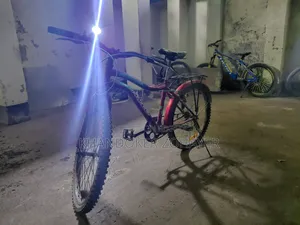 Durable Cycle for Reasonable Price