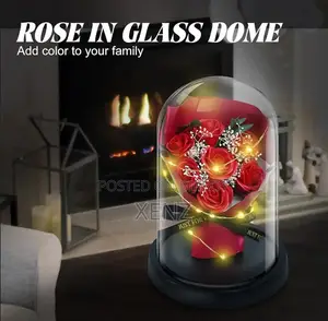 LED Rose Glass Dome Gift Box for Anniversary, Birthday Decor