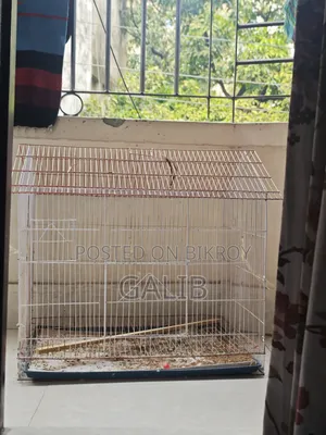 খাচা ২৪/২৩ ইঞ্চি বড় সাইজ