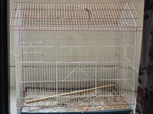 খাচা ২৪/২৩ ইঞ্চি বড় সাইজ
