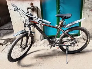 ফিনিক্স মাউন্টেন বাইক