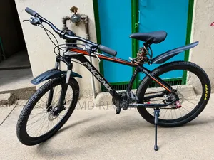 ফিনিক্স মাউন্টেন বাইক