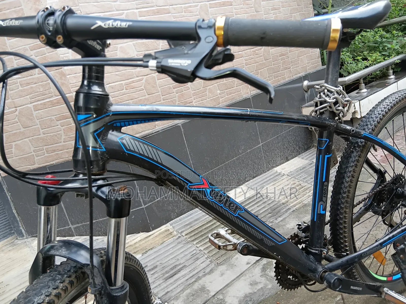 Xavier CYCLE 26"