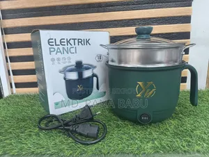 Electric Panci Cooking Pot/Cooker(hfhydd)