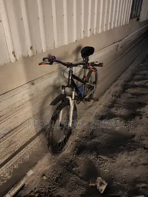 24" Racing Bicycle